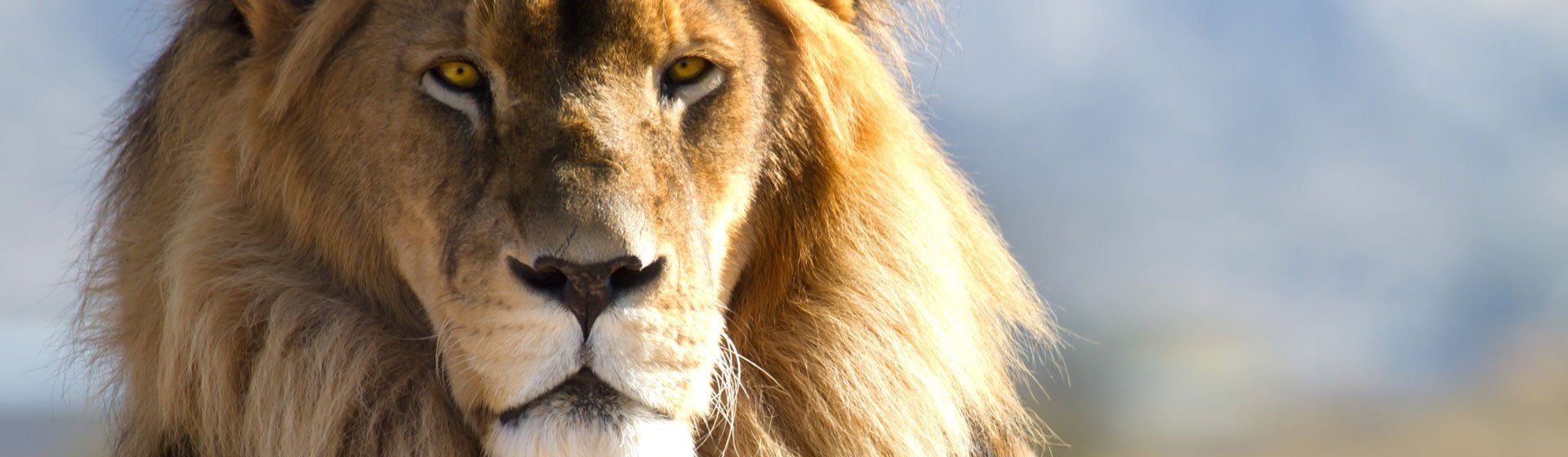 noticia-a-recuperacao-de-impostos-recolhidos-indevidamente-e-tema-da-proxima-palestra-da-apecc