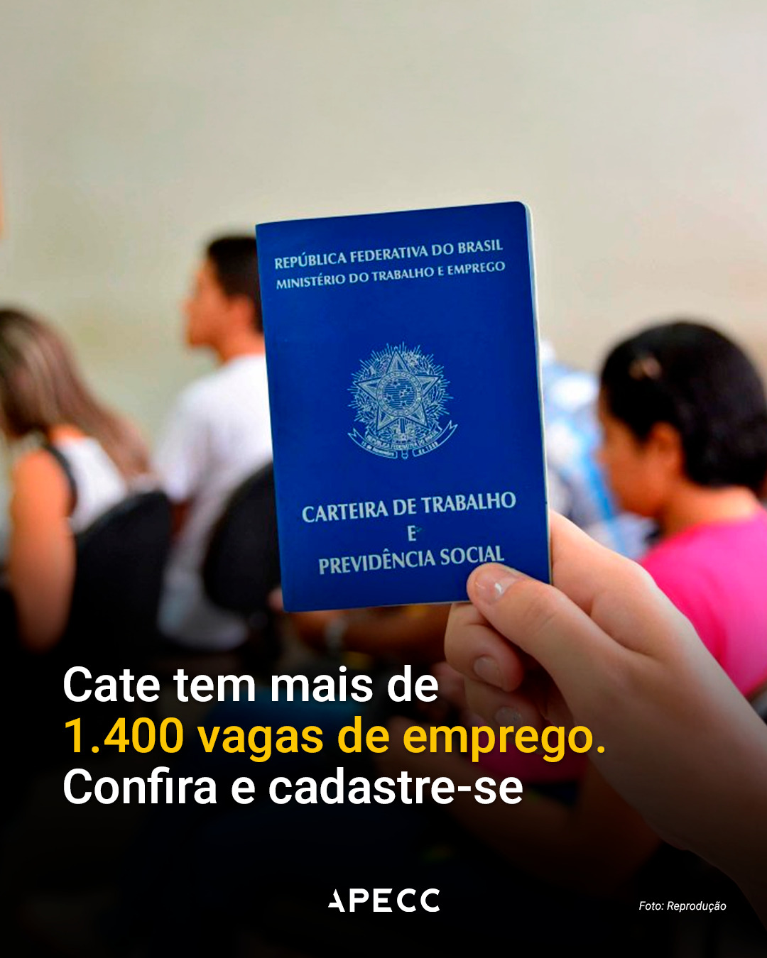 Tem vaga de emprego aberta em São Paulo 👀

O Cate - Centro de Apoio ao Trabalho e Empreendedorismo está com mais de 1.400 oportunidades em várias áreas, como comércio e serviços.

Os salários podem chegar a R$ 4.720, dependendo da vaga.

Pra participar é simples:
👉 faça seu cadastro no Portal Cate
ou
👉 vá até uma unidade com RG, CPF e carteira de trabalho (física ou digital)

Muitas vagas são na região central.
E em alguns casos, não precisa ter experiência, só ensino médio completo.

📍 Atendimento presencial:
Av. Rio Branco, 252 – Campos Elíseos
Rua Quinze de Novembro, 268 – Descomplica SP

📲 Compartilhe com quem está procurando emprego!
#cate #emprego #apecc #centrosp