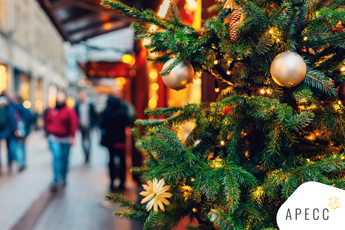 APECC_Site_ copy 3Prepare-se para o natal