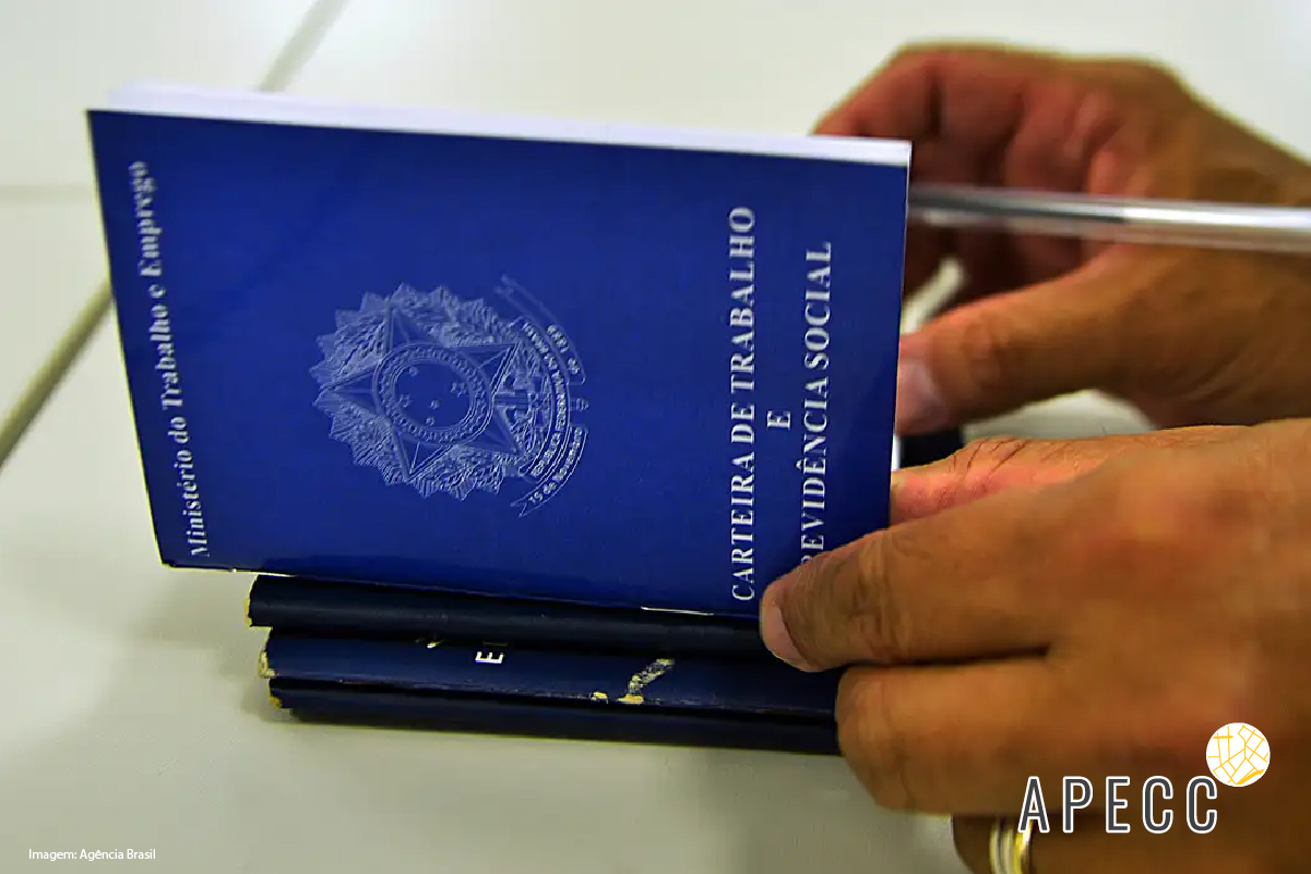 APECC_Site_ copy 3Micro e pequenas empresas são as maiores empregadoras do país